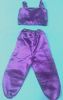 Kids Costumes to Hire - Arabian GIRL  - Purple crop top & pants 